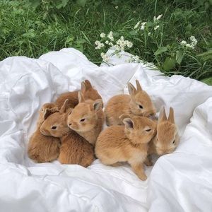 Meet your Posher, Kenia